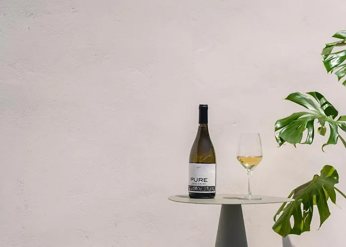 Santorini Wine Downtown Vila *